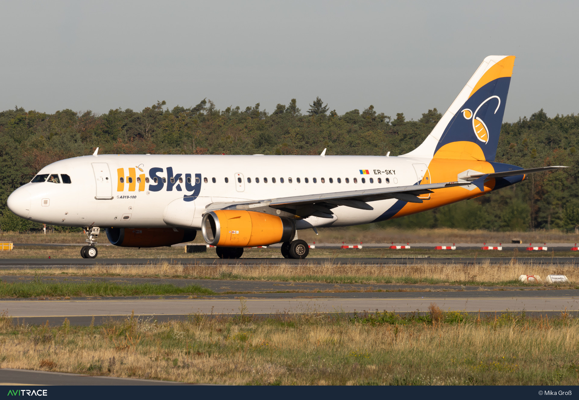 ER-SKY, Airbus A319-131, photographed by Mika Groß