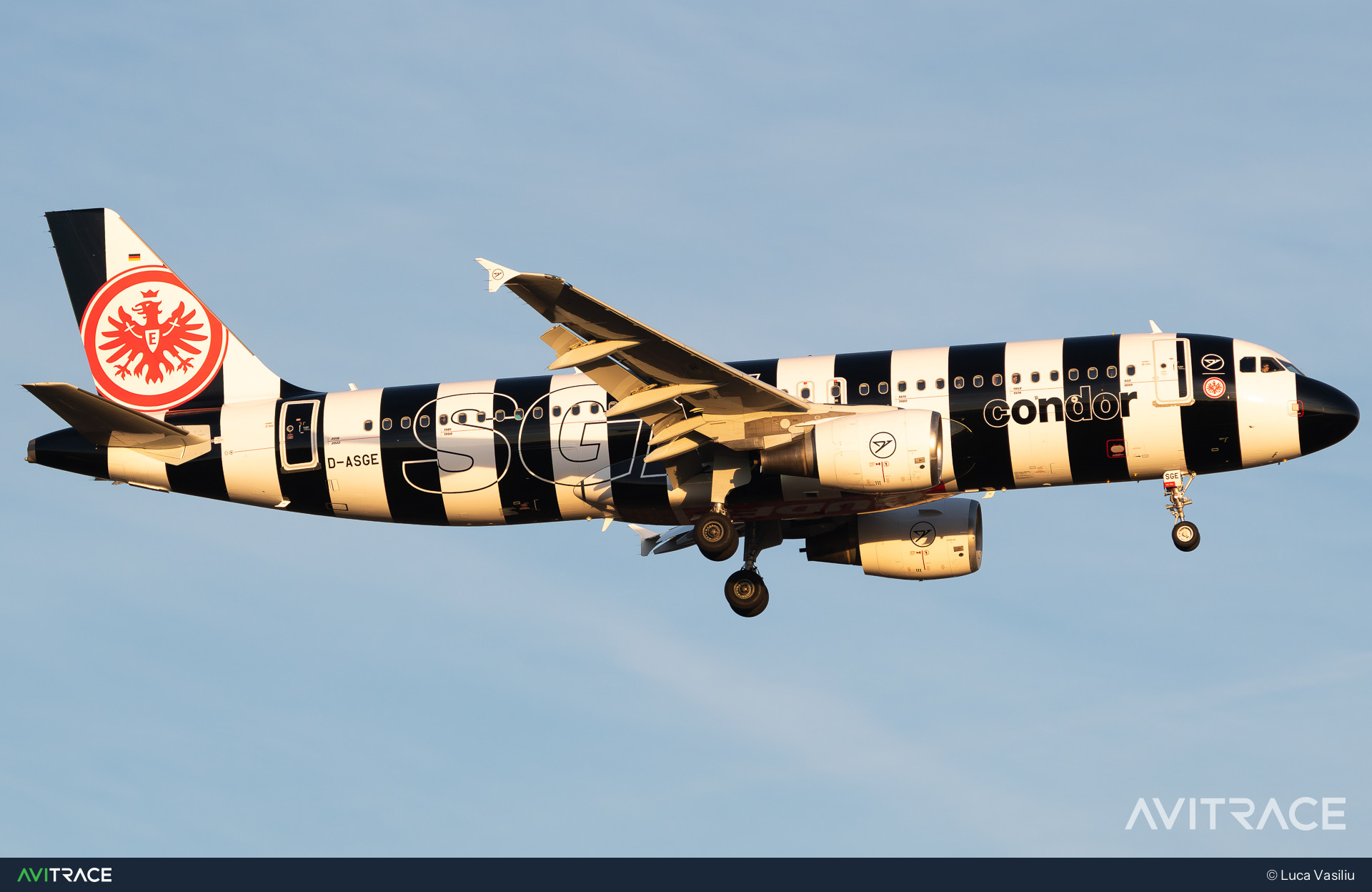 D-ASGE, Airbus A320-214, photographed by Luca Vasiliu