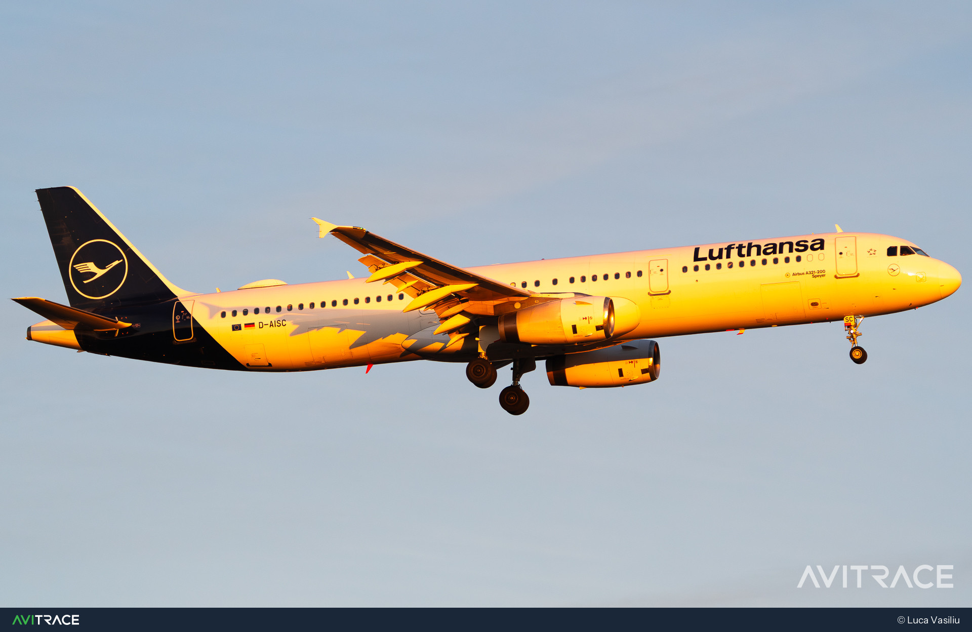 D-AISC, Airbus A321-231, photographed by Luca Vasiliu