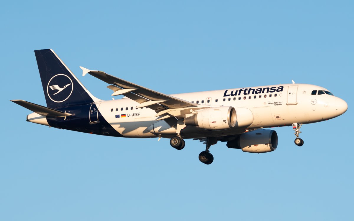 D-AIBF, Airbus A319-112, photographed by Luca Vasiliu