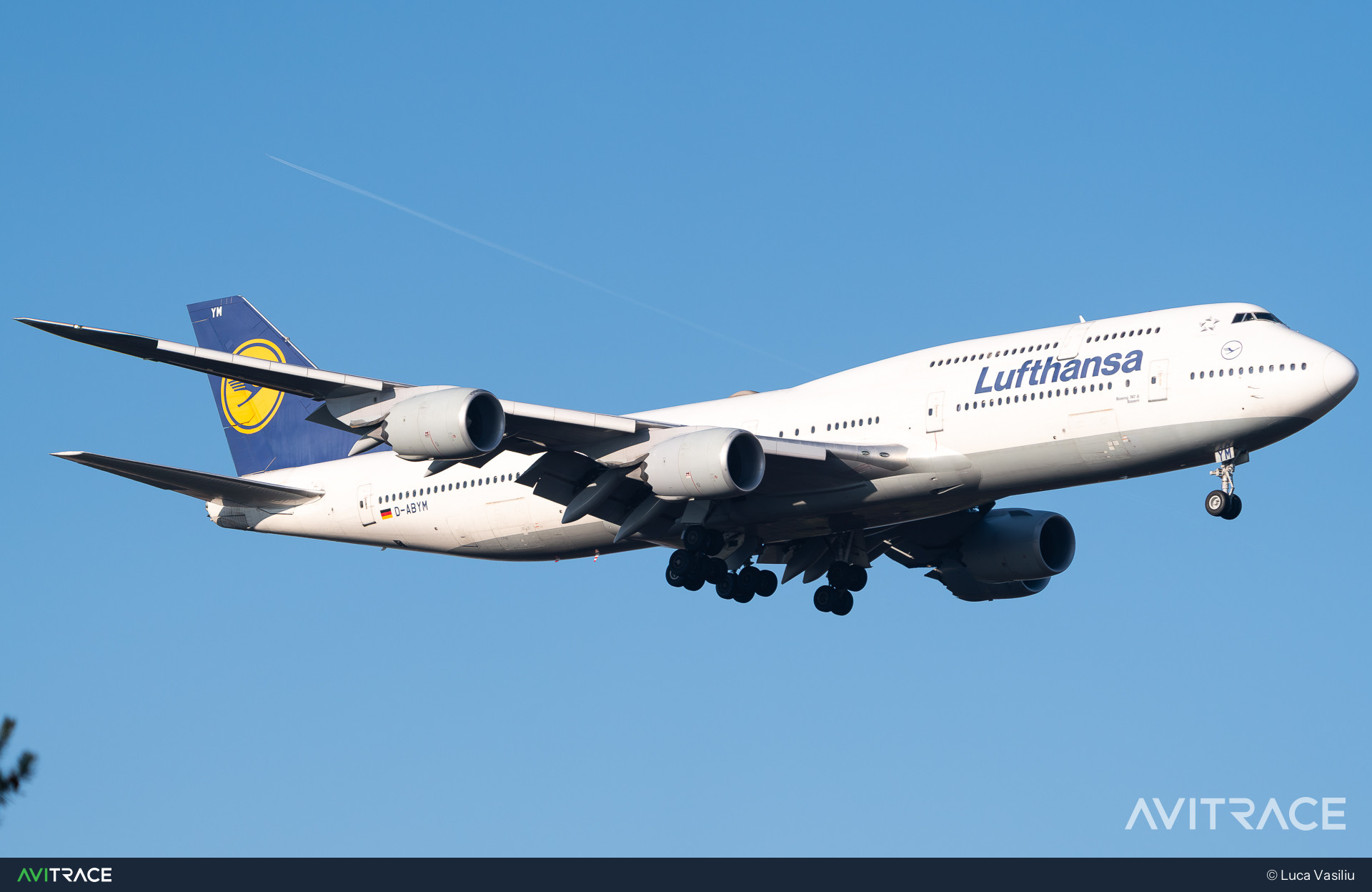 D-ABYM, Boeing 747-830, photographed by Luca Vasiliu
