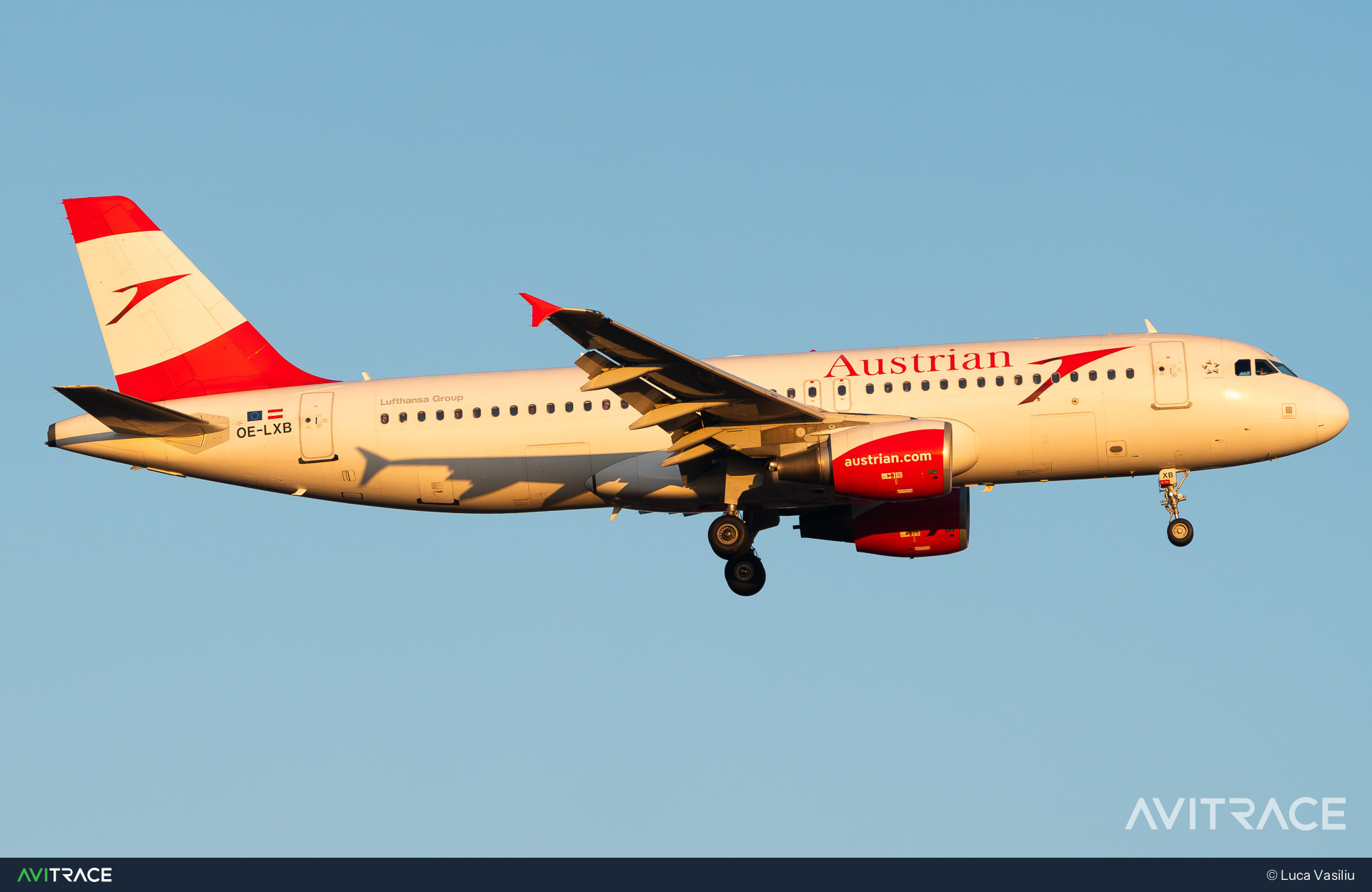 OE-LXB, Airbus A320-216, photographed by Luca Vasiliu