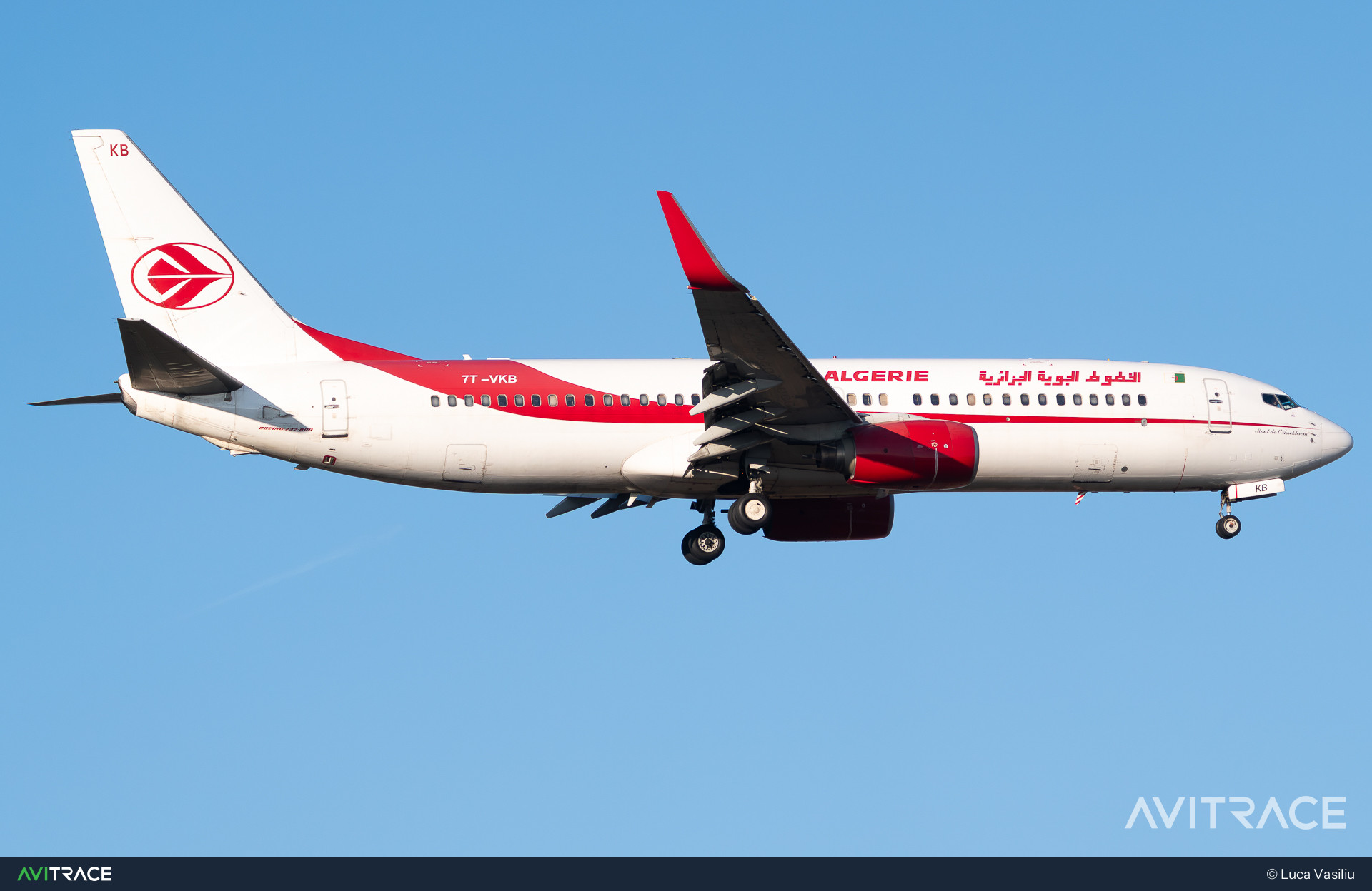 7T-VKB, Boeing 737-8D6, photographed by Luca Vasiliu