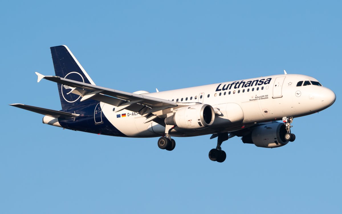 D-AILF, Airbus A319-114, photographed by Luca Vasiliu