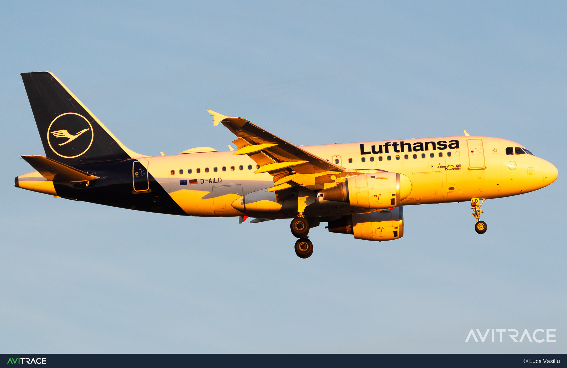 D-AILD, Airbus A319-114, photographed by Luca Vasiliu