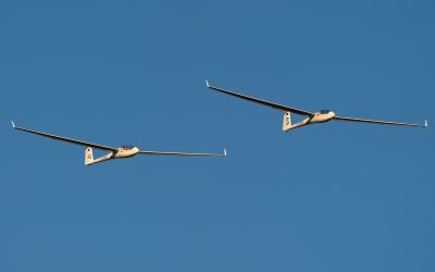 D-8689, photographed by Luca Vasiliu